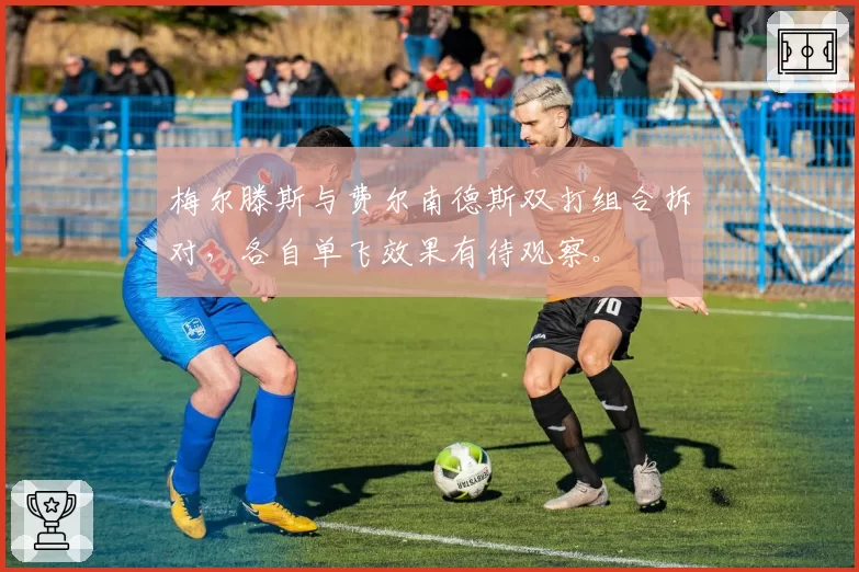 梅尔滕斯与费尔南德斯双打组合拆对,各自单飞效果有待观察。